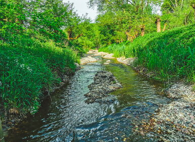 Wasserbau /<br>-wirtschaft